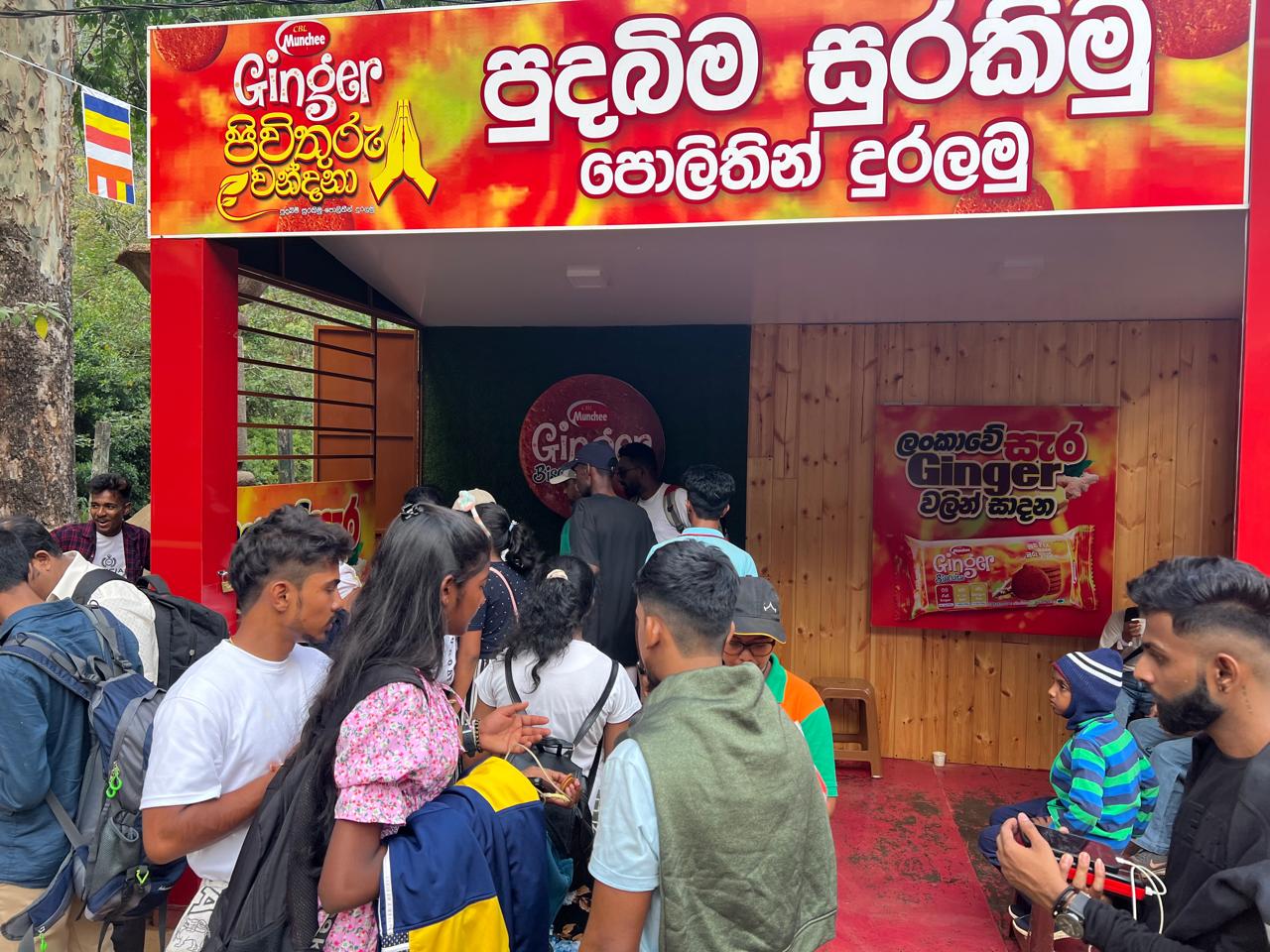 Ginger Sri Pada - Image 6